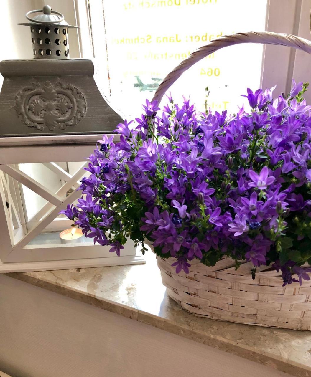 Hotel Domschatz كيدلينبورغ المظهر الخارجي الصورة